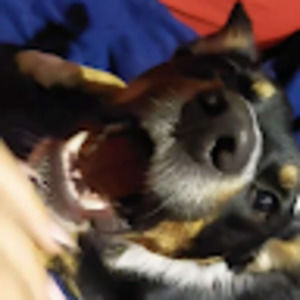 Meet your Posher, Nolwenn